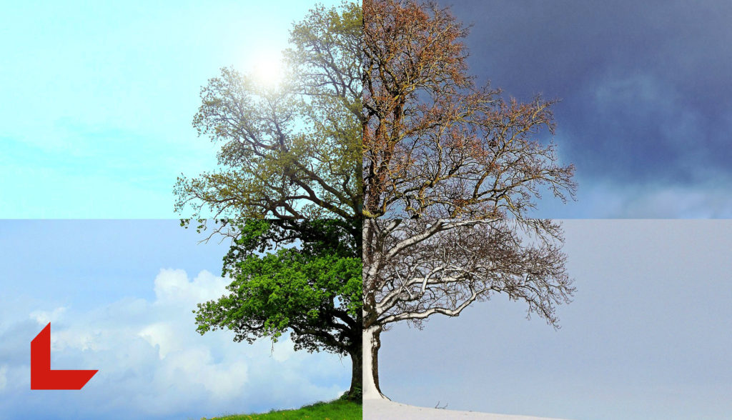 Ubrania robocze na zimę